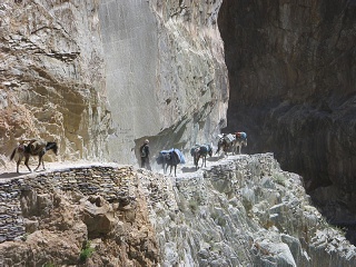 India2005 379