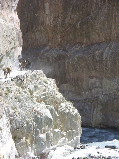 India2005 380