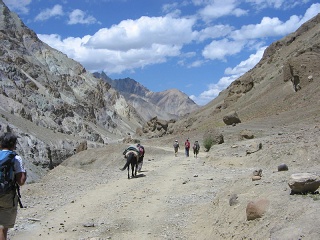 India2005 389