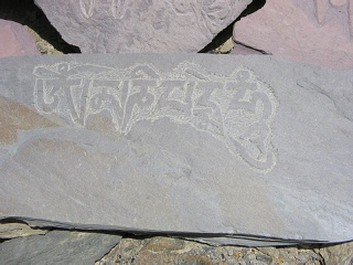 India2005 391
