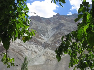 India2005 393