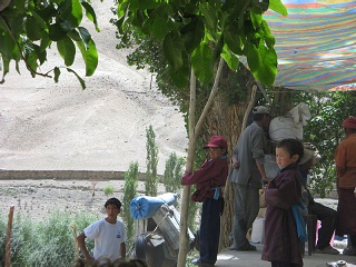 India2005 395