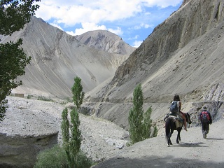 India2005 400