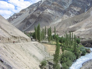 India2005 401
