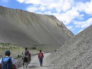 India2005 403