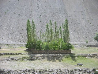 India2005 409