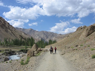 India2005 410