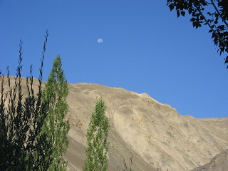 India2005 441