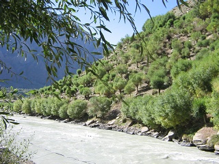 India2005 493