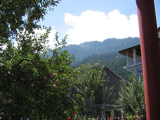India2005 501