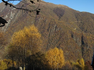 Autunno 065