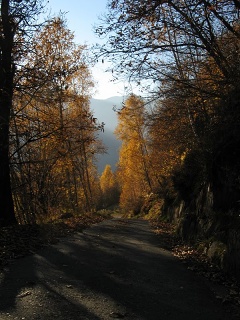 Autunno 066