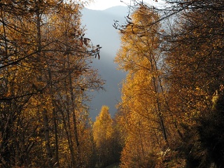 Autunno 067