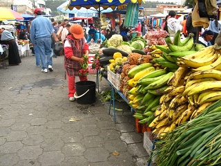 Ecuador 227