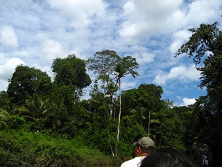 Ecuador 348