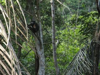 Ecuador 382