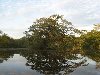 Ecuador 422