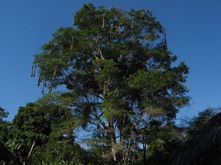 Ecuador 458