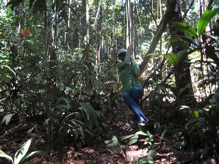 Ecuador 497