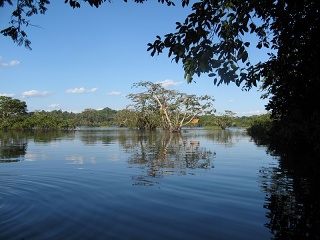 Ecuador 514