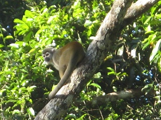 Ecuador 524