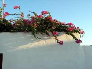 Grecia 035