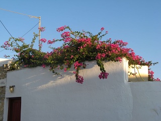 Grecia 036