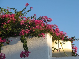 Grecia 037