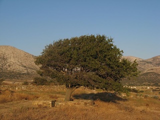 Grecia 085