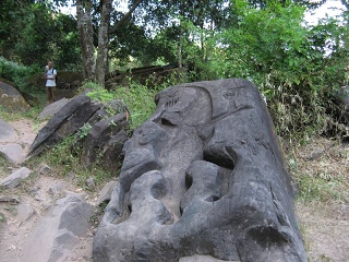 Img 4704