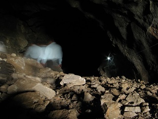 Img 4975