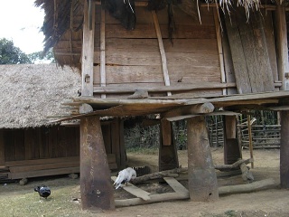 Img 4994