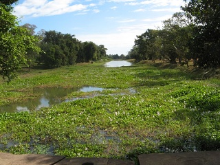 Img 5239