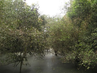 Img 5455