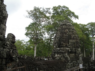 Img 5523