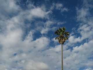 Img 5541