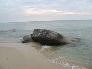 Img 5595