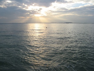 Img 5597
