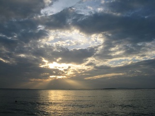 Img 5603