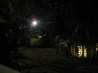 Img 5616