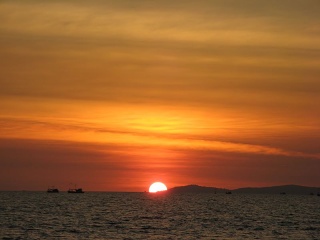 Img 5656