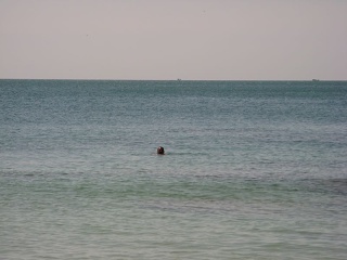 Img 5676