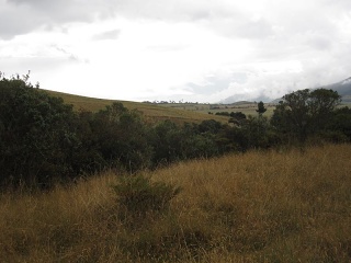 Img 0714