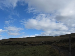 Img 0740