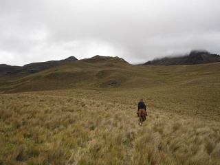 Img 0757