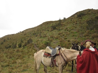 Img 0761