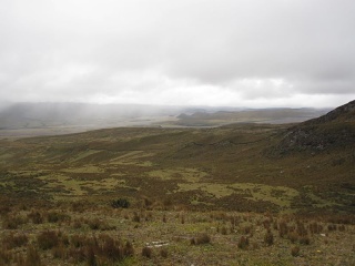 Img 0764