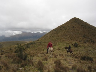 Img 0765