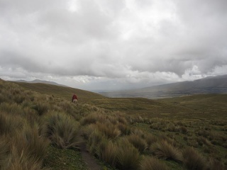 Img 0771