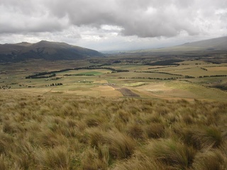 Img 0780